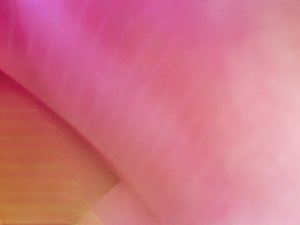 提升转化率必备的电商文案写作技巧